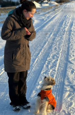 {{brizy_dc_image_alt imageSrc=