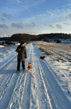 {{brizy_dc_image_alt imageSrc=